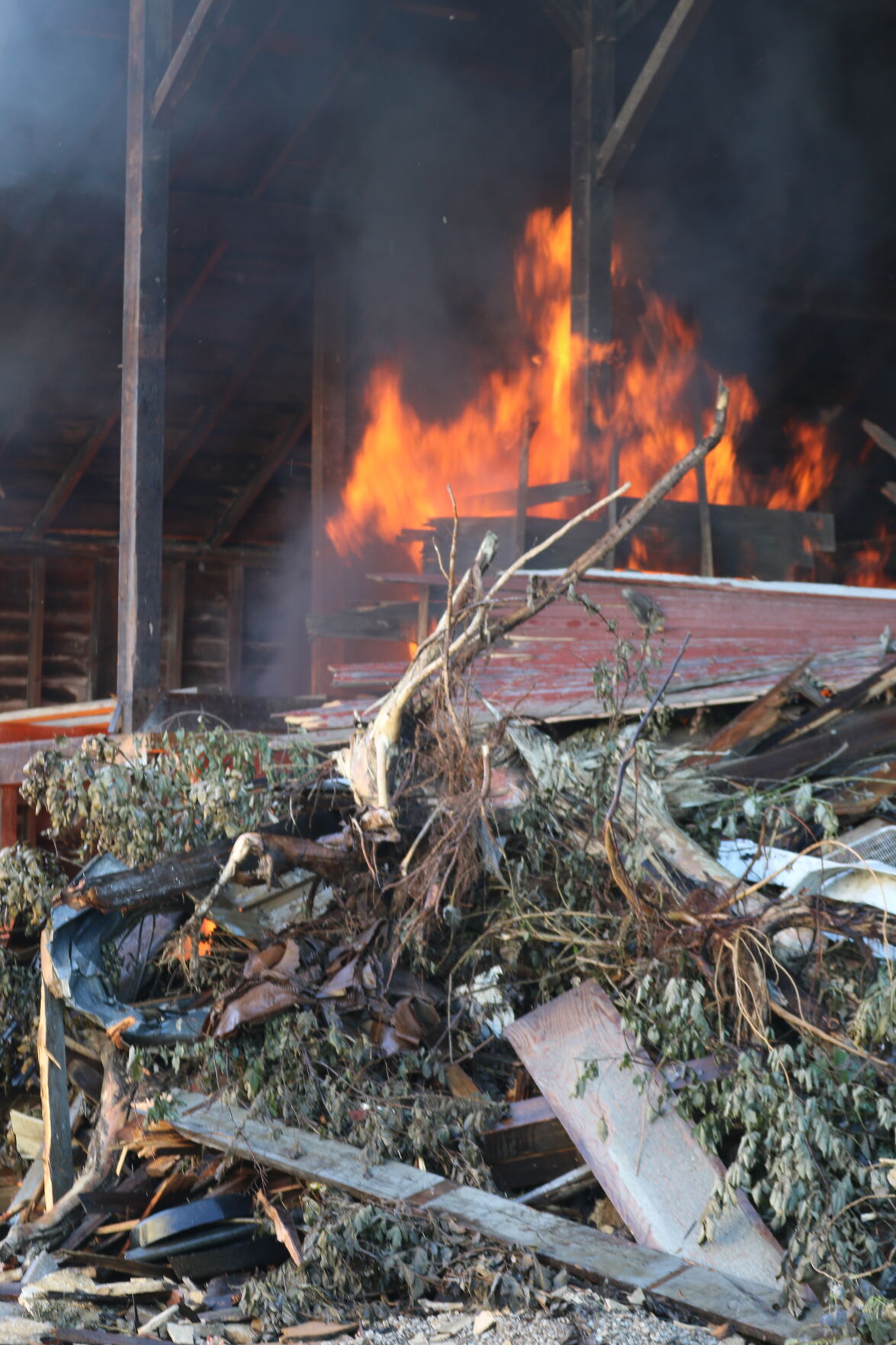 Fire_8554.JPG